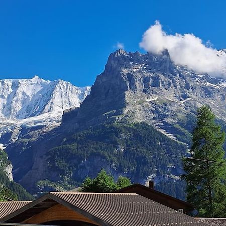 Chalet Engi Apt 1 For Up To 8 People Grindelwald Luaran gambar