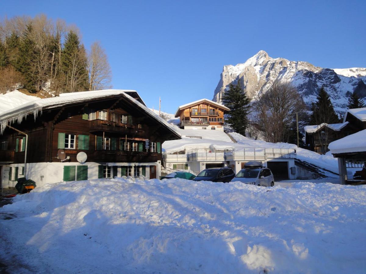 Chalet Engi Apt 1 For Up To 8 People Grindelwald Luaran gambar