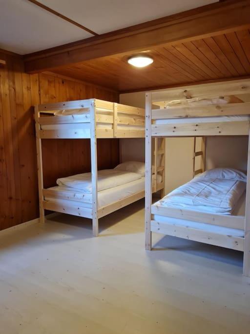 Chalet Engi Apt 1 For Up To 8 People Grindelwald Luaran gambar