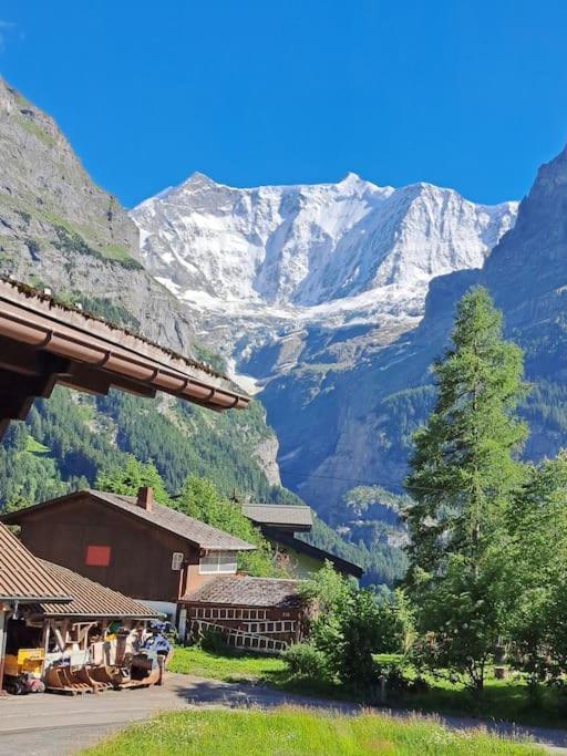 Chalet Engi Apt 1 For Up To 8 People Grindelwald Luaran gambar