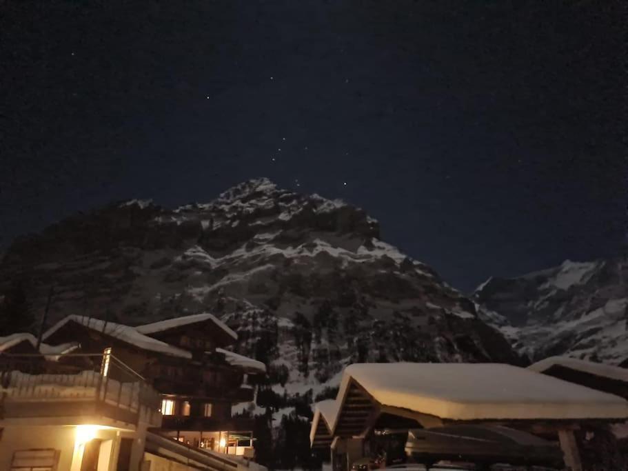 Chalet Engi Apt 1 For Up To 8 People Grindelwald Luaran gambar