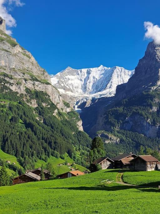 Chalet Engi Apt 1 For Up To 8 People Grindelwald Luaran gambar